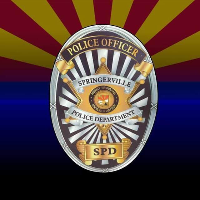 Springerville Police Dept badge